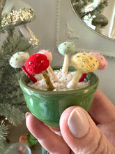 Load image into Gallery viewer, Mini Mushroom Making Kit and Online Class