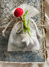 Load image into Gallery viewer, Mini Mushroom Making Kit and Online Class