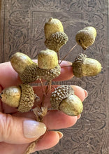 Load image into Gallery viewer, Rustic Golden Acorn Spray