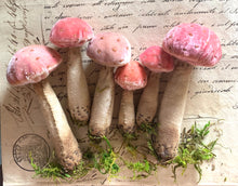 Load image into Gallery viewer, Silk Velvet Mushroom Making Kit and Online Class