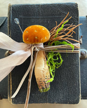 Load image into Gallery viewer, Silk Velvet Mushroom Making Kit and Online Class