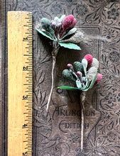 Load image into Gallery viewer, Holiday Sugared Metallic Stamens