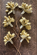 Load image into Gallery viewer, Gold Sugared Holiday Stamens