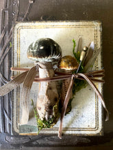 Load image into Gallery viewer, Silk Velvet Mushroom Making Kit and Online Class
