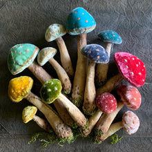 Load image into Gallery viewer, Silk Velvet Mushroom Making Kit and Online Class