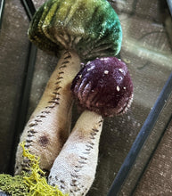 Load image into Gallery viewer, Silk Velvet Mushroom Making Kit and Online Class