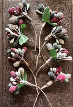 Load image into Gallery viewer, Holiday Sugared Metallic Stamens