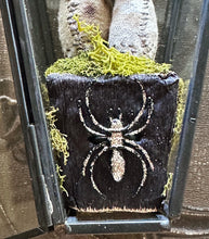 Load image into Gallery viewer, GOTHIC GARDEN Silk Velvet Woodland Mushroom Terrarium