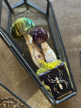 Load image into Gallery viewer, GOTHIC GARDEN Silk Velvet Woodland Mushroom Terrarium