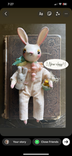 Load image into Gallery viewer, Paper Clay Bunny Online Class and Kit