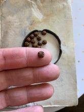 Load image into Gallery viewer, 6mm Tiny Rusty Primitive Christmas Jingle Bells