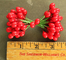 Load image into Gallery viewer, XLARGE Holly Berry Stamens 1/2 Inch Wired Millinery Stamens Holiday DIY Floral Trims - 36 XLarge Double Ended Vintage Style Package Ties