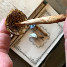 Load image into Gallery viewer, Silk Velvet Mushroom Ornaments - Made to Order Woodland Velvet Toadstool Decorations - Handmade Fairy Mushrooms Cloche Terrarium Display