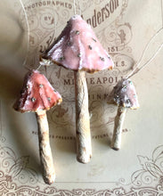 Load image into Gallery viewer, Blush Pink Velvet Mushrooms Made to Order Decorations