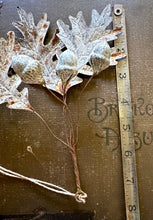 Load image into Gallery viewer, Rusted Acorn and Oak Spray - Rustic Fall Aged Metal Leaves
