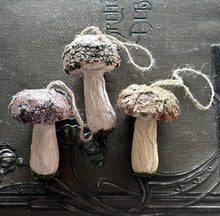 Load image into Gallery viewer, Fairy Toadstools Glittered Rustic Mushroom Bark and Moss Ornaments
