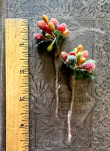 Load image into Gallery viewer, Harvest Sugared Stamens Burnt Orange and Gold Autumn Millinery Stamen Bundle
