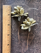 Load image into Gallery viewer, Gold Sugared Holiday Stamens
