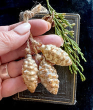 Load image into Gallery viewer, Frosted Glass Pinecones 12 Days of Christmas
