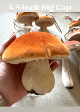 Load image into Gallery viewer, Brown Velvet Mushroom Ornaments
