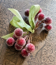 Load image into Gallery viewer, Red Frosted Stamen Balls - Cranberry Holiday Headband Crown - Christmas Collage Decoration - Sugar Stamen Berry Millinery Wedding Supplies
