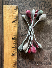 Load image into Gallery viewer, Holiday Sugared Metallic Stamens
