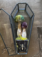 Load image into Gallery viewer, GOTHIC GARDEN Silk Velvet Woodland Mushroom Terrarium
